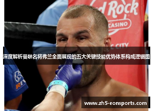 深度解析曼联名将弗兰全面展现的五大关键技能优势体系构成逻辑图